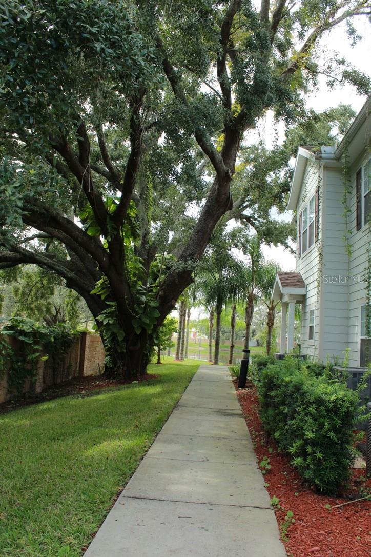 Home in KISSIMMEE, FL 34746 — photo 3