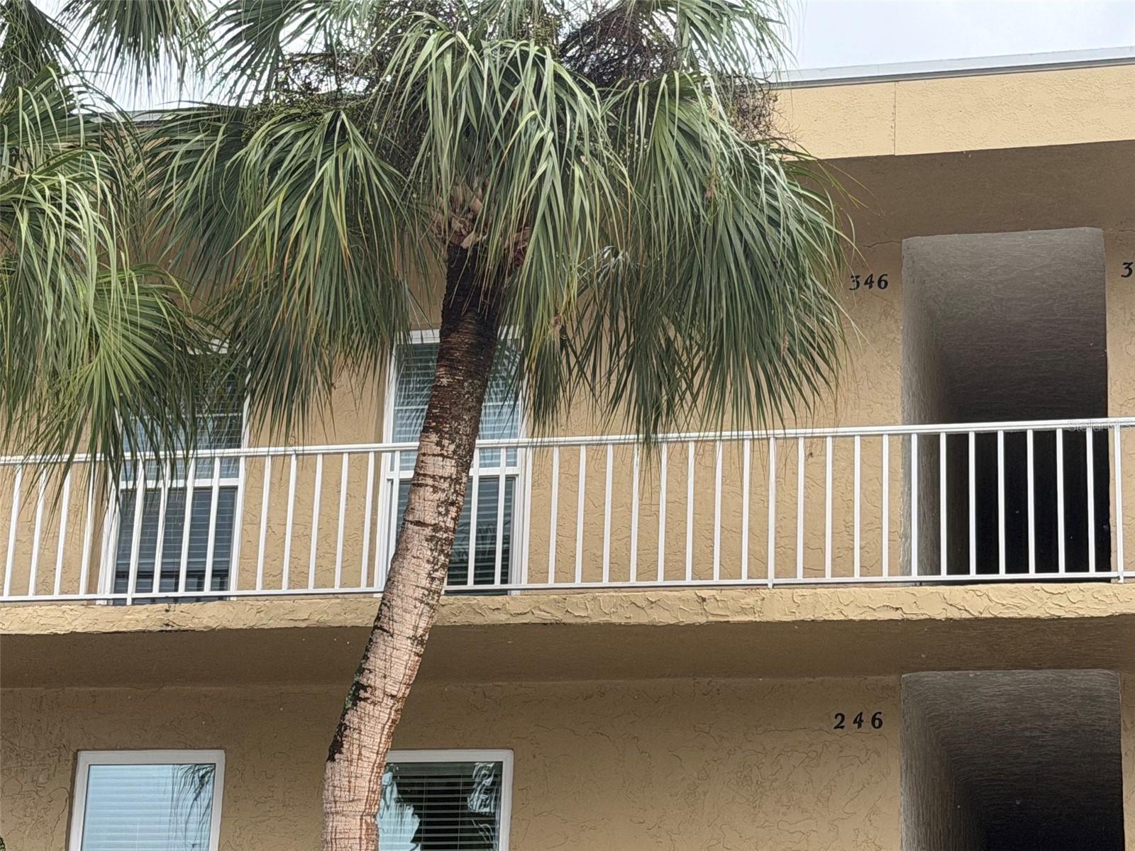 225 Country Club Drive E346 — photo