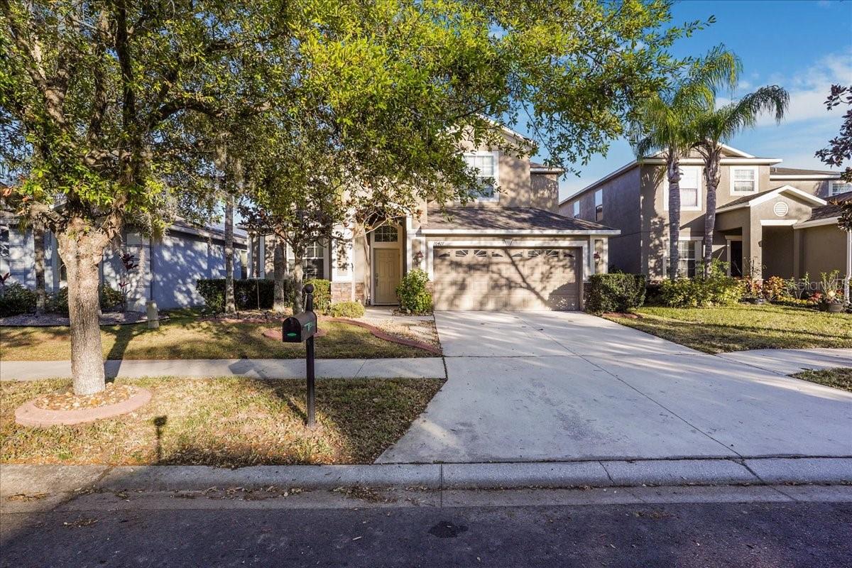 20427 Carolina Cherry Court — photo