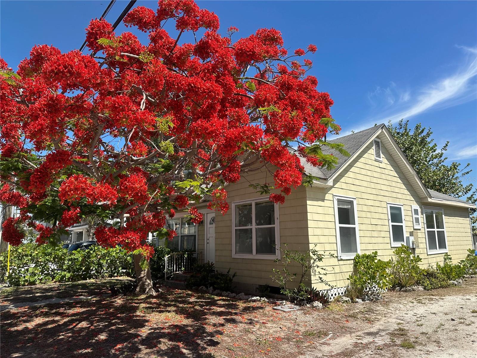8405 Bayshore Drive — photo