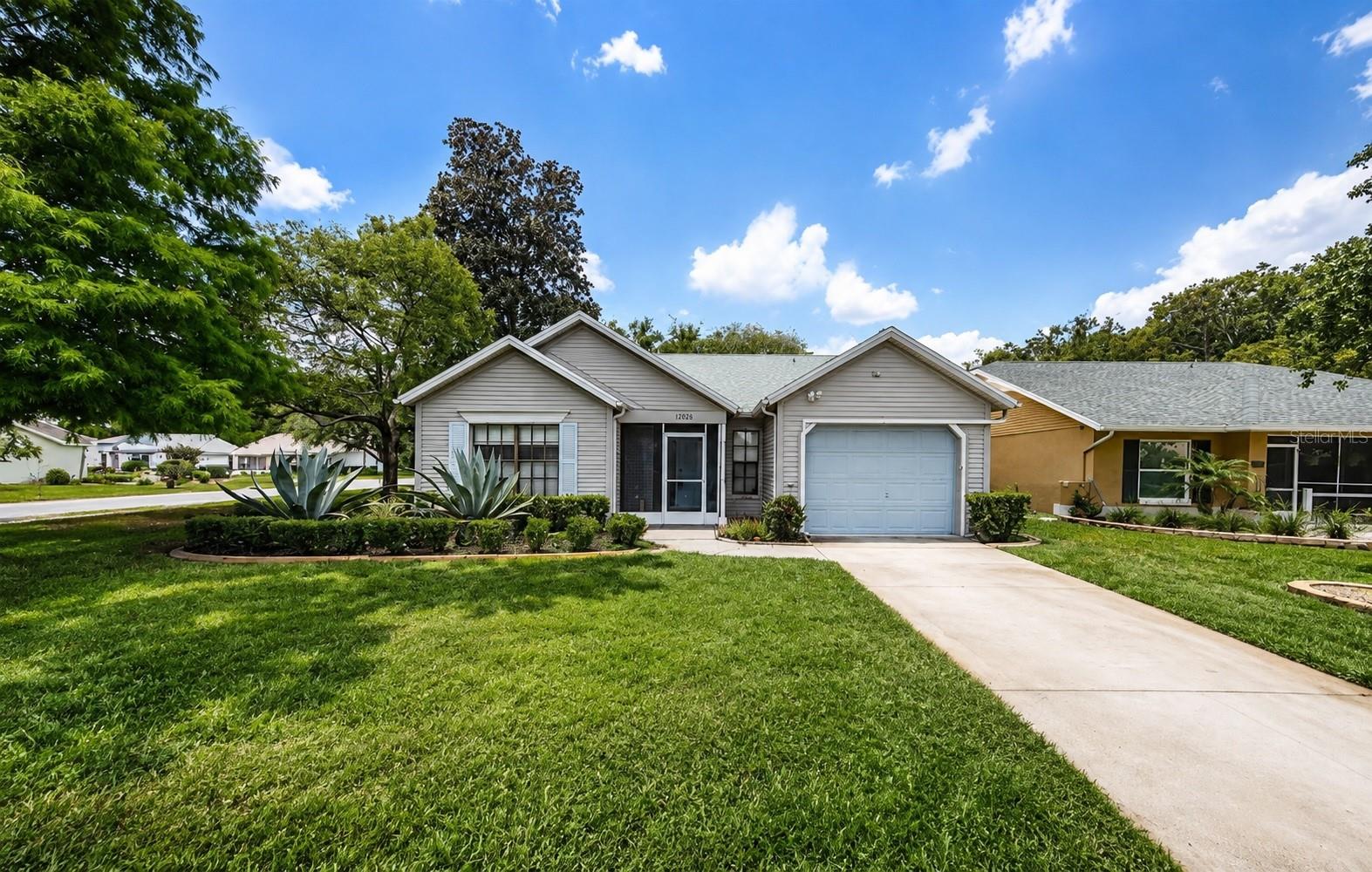 11805 Loblolly Pine Drive — photo