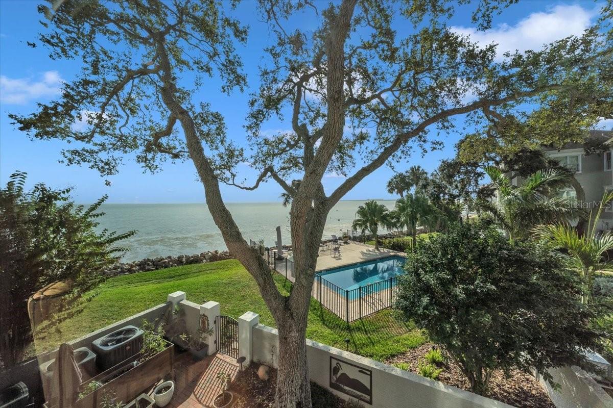 6212 Bayshore Boulevard K — photo
