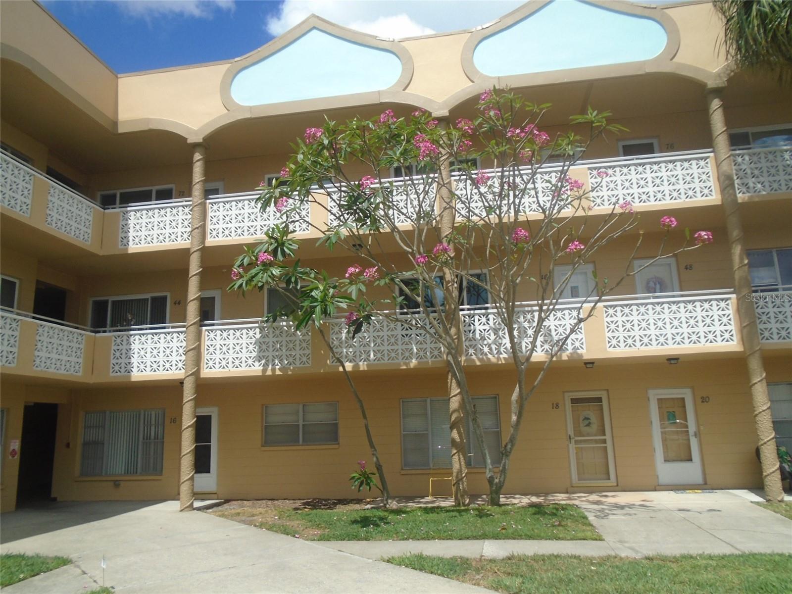 2466 Ecuadorian Way 16 — photo