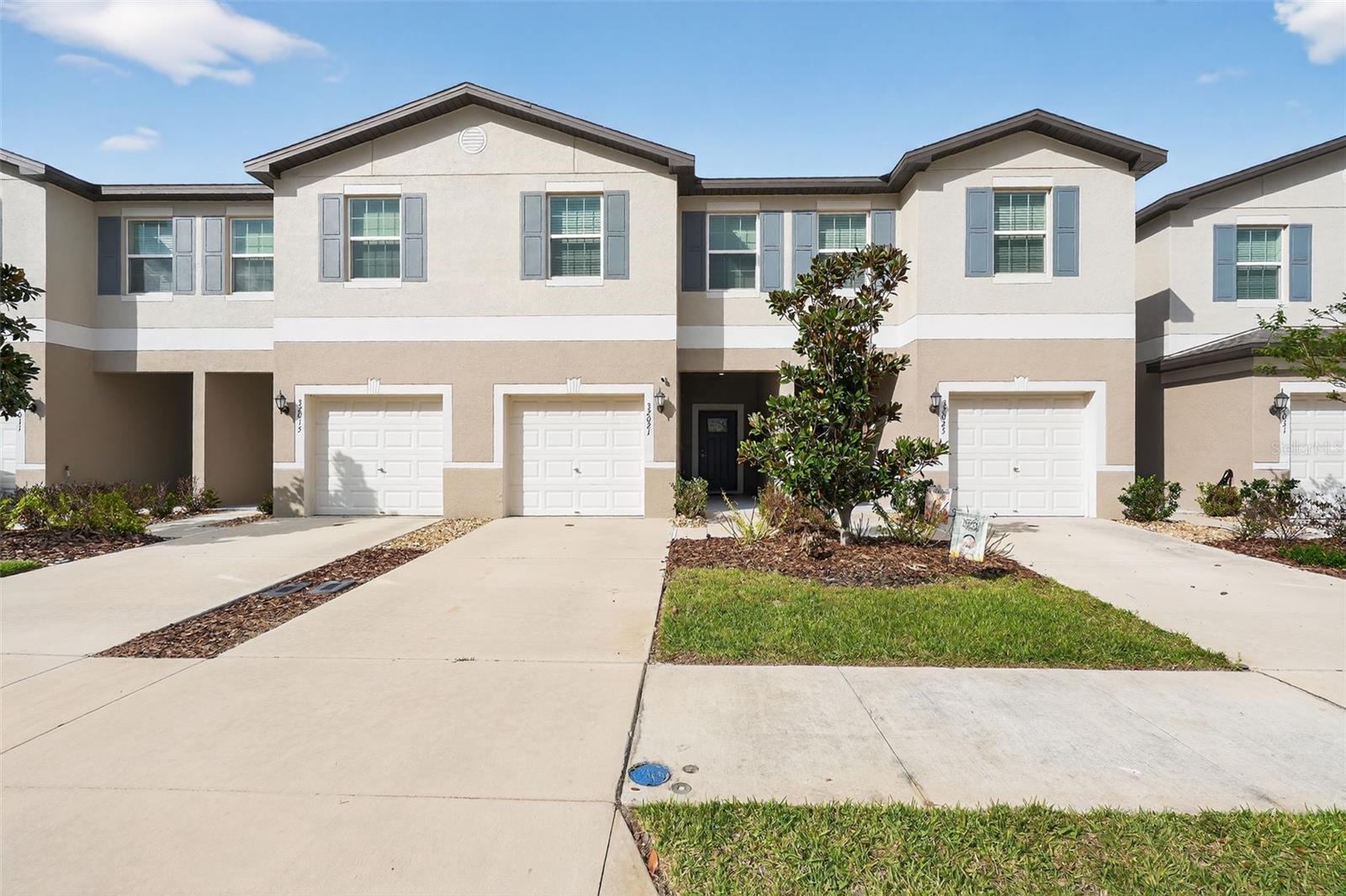 32021 Powderpuff Mimosa Drive — photo