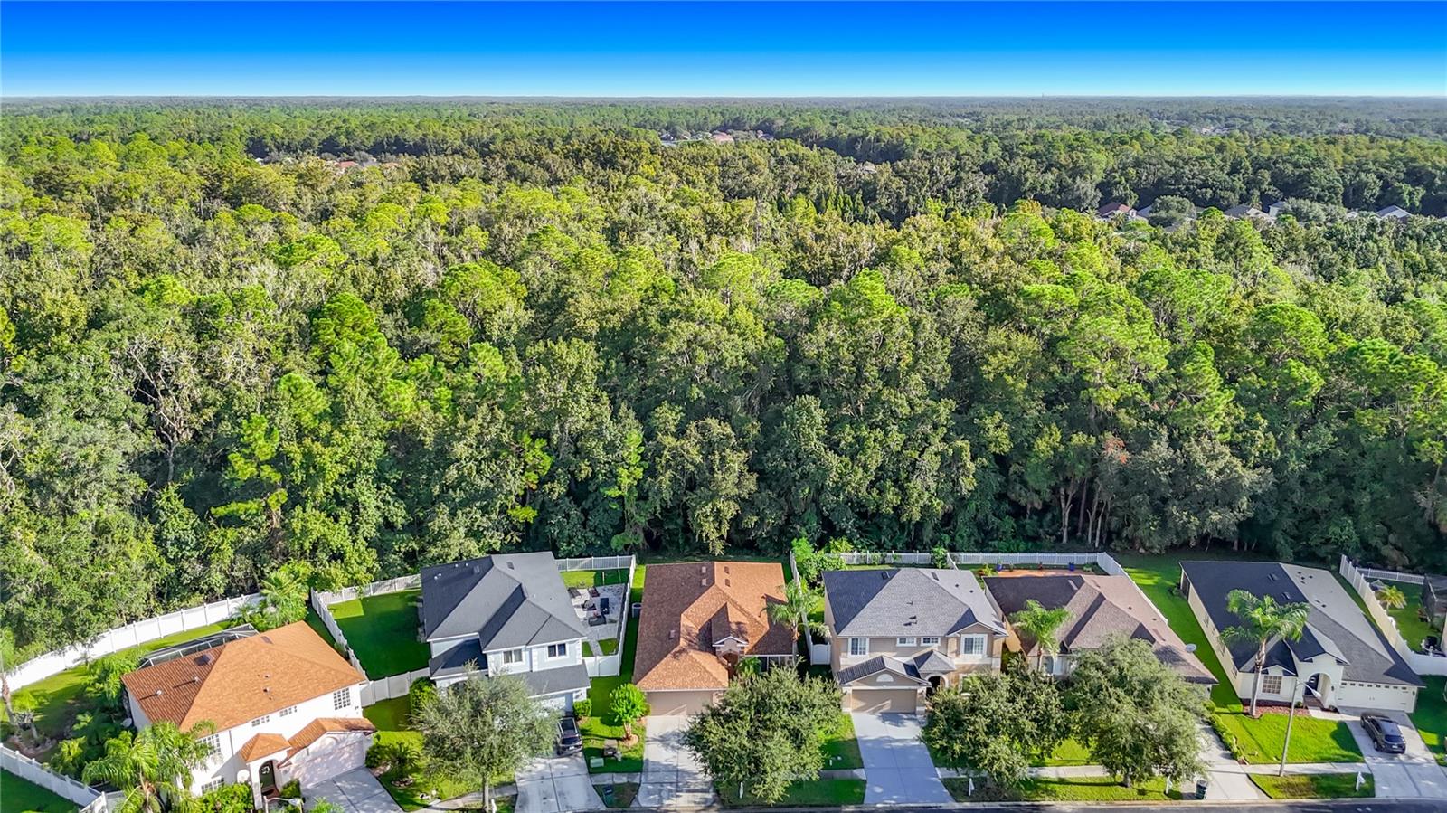 Home in LAND O LAKES, FL 34639 — photo 3