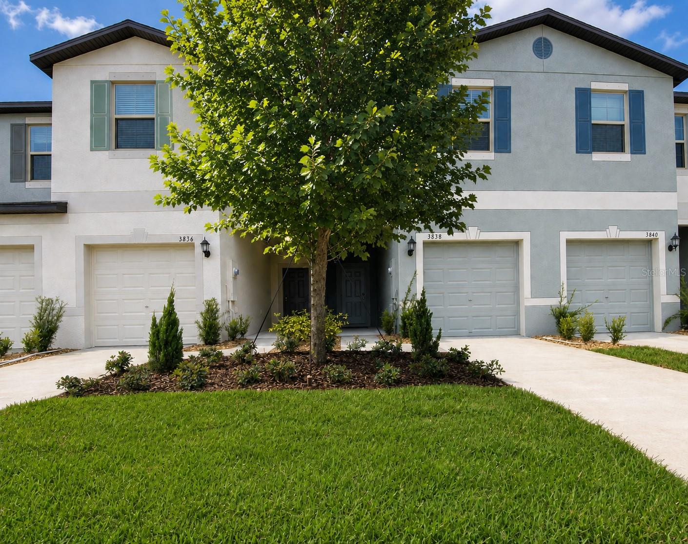 3838 Cat Mint Street — photo