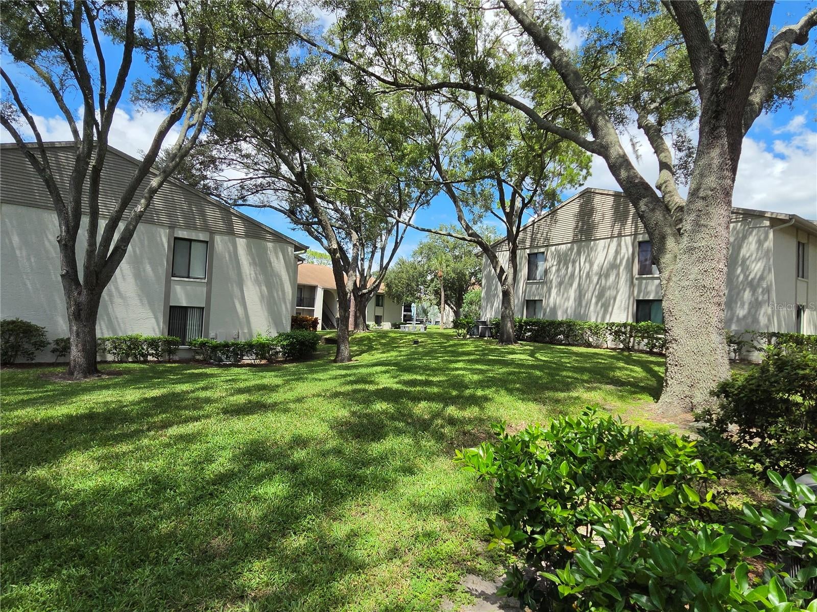 1700 Pine Ridge Way E C1 — photo