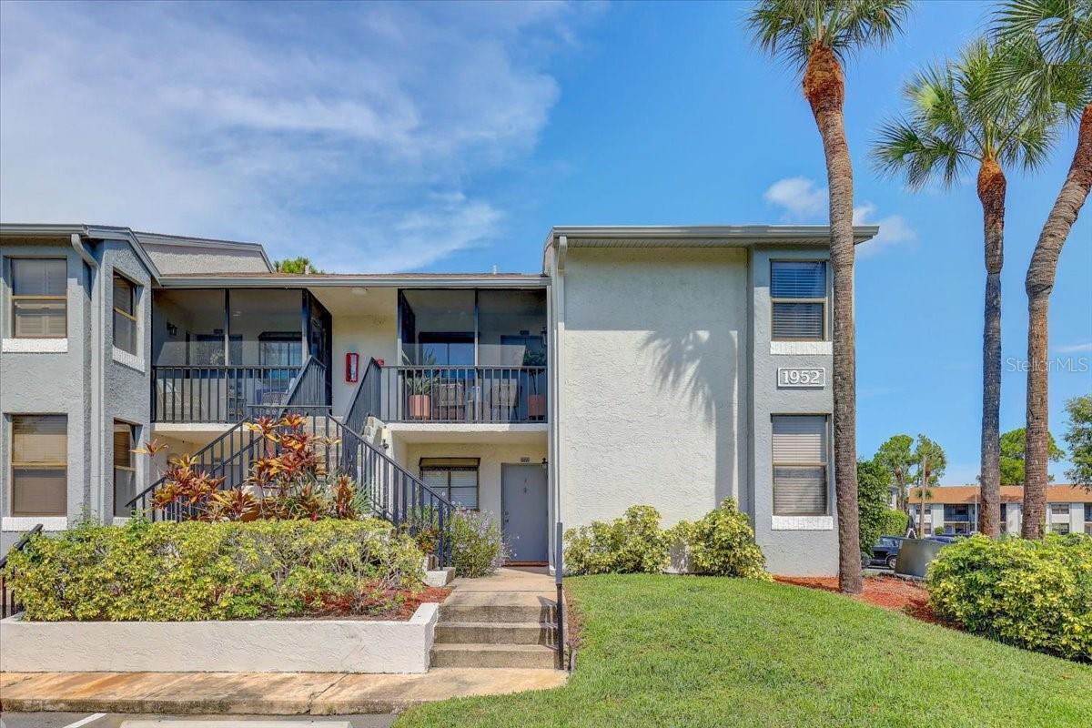 1952 Laughing Gull Lane 1426 — photo