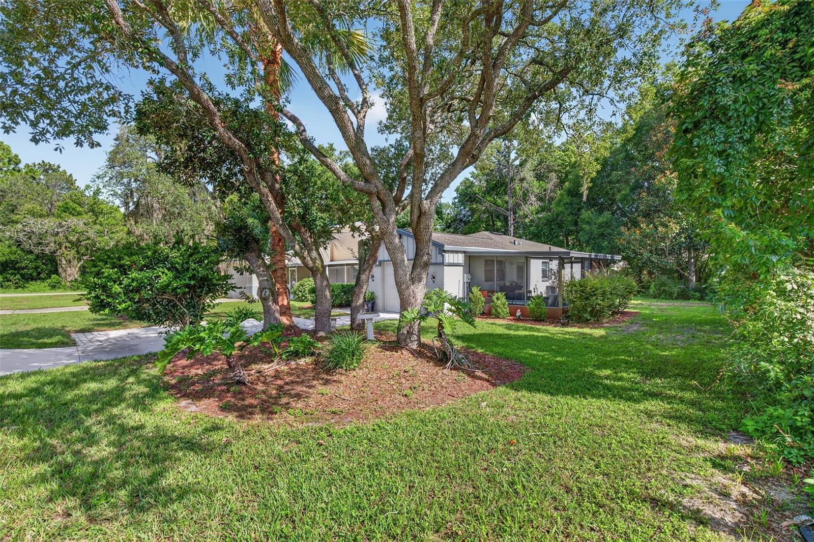 12 Chinaberry Circle — photo