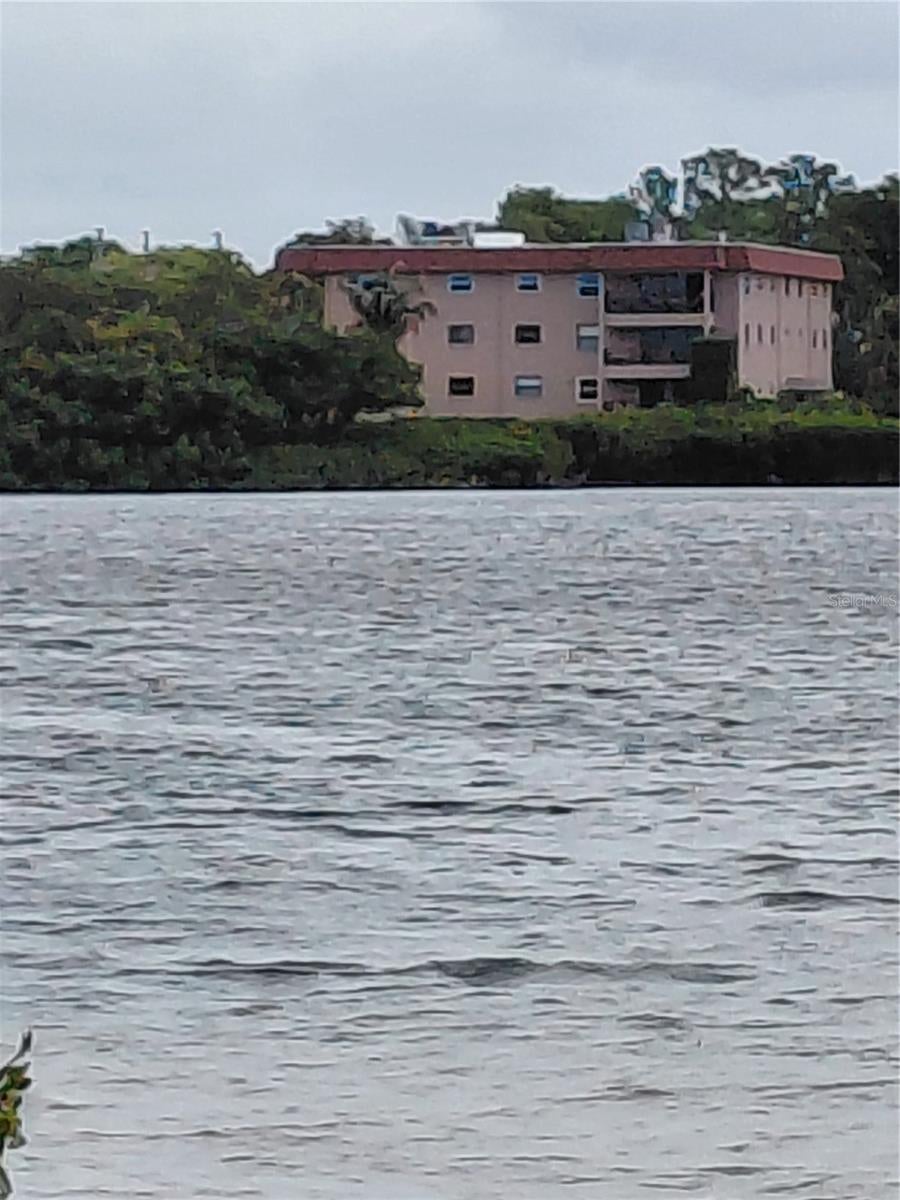 Home in TARPON SPRINGS, FL 34689 — photo 3