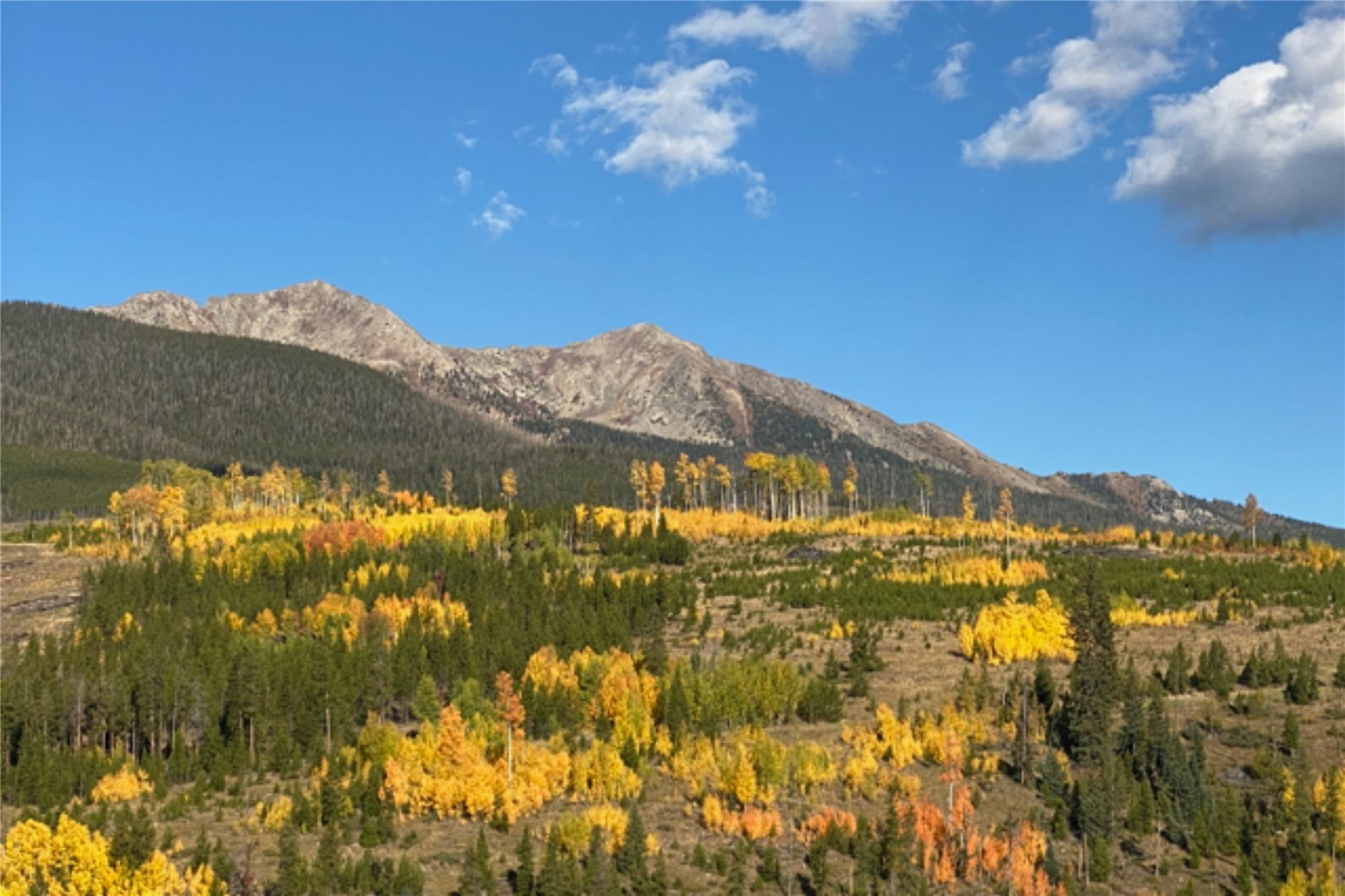 384 Blue Ridge Road, Breckenridge, CO 80424 — photo 2