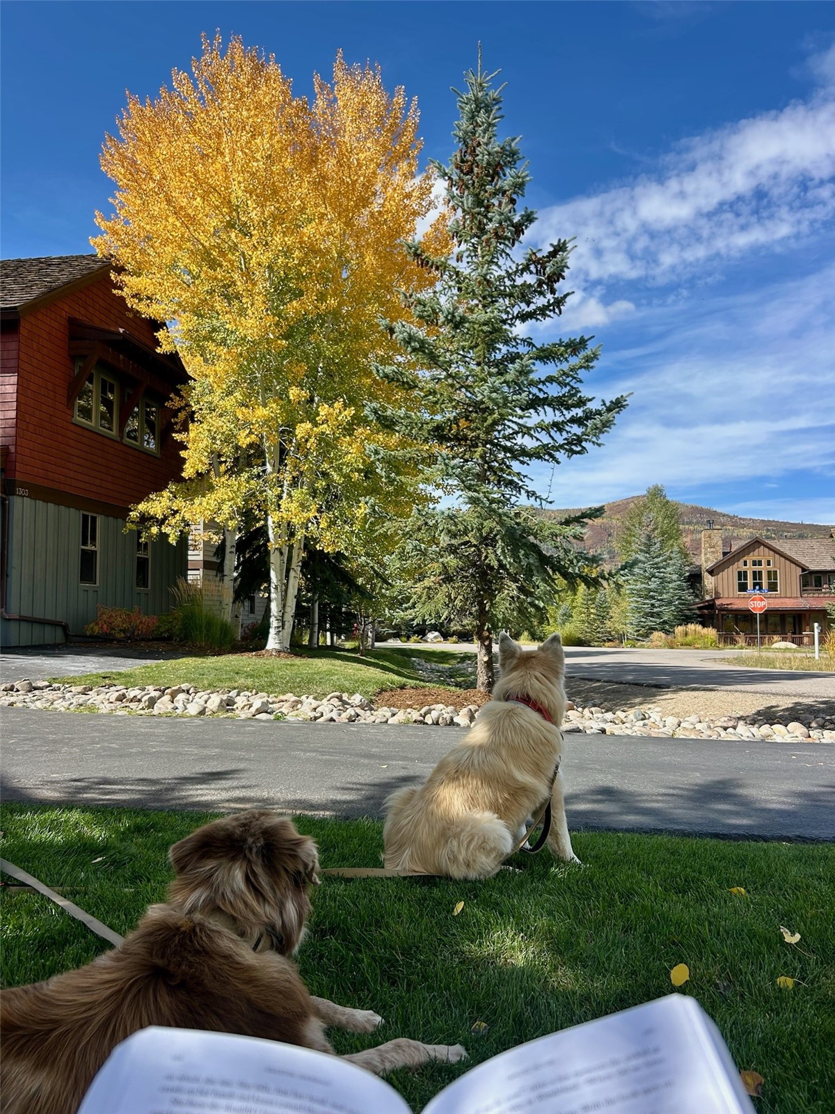 1315 Turning Leaf Court Deed F — photo