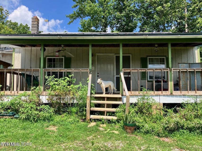 5271 Vardy Blackwater — photo