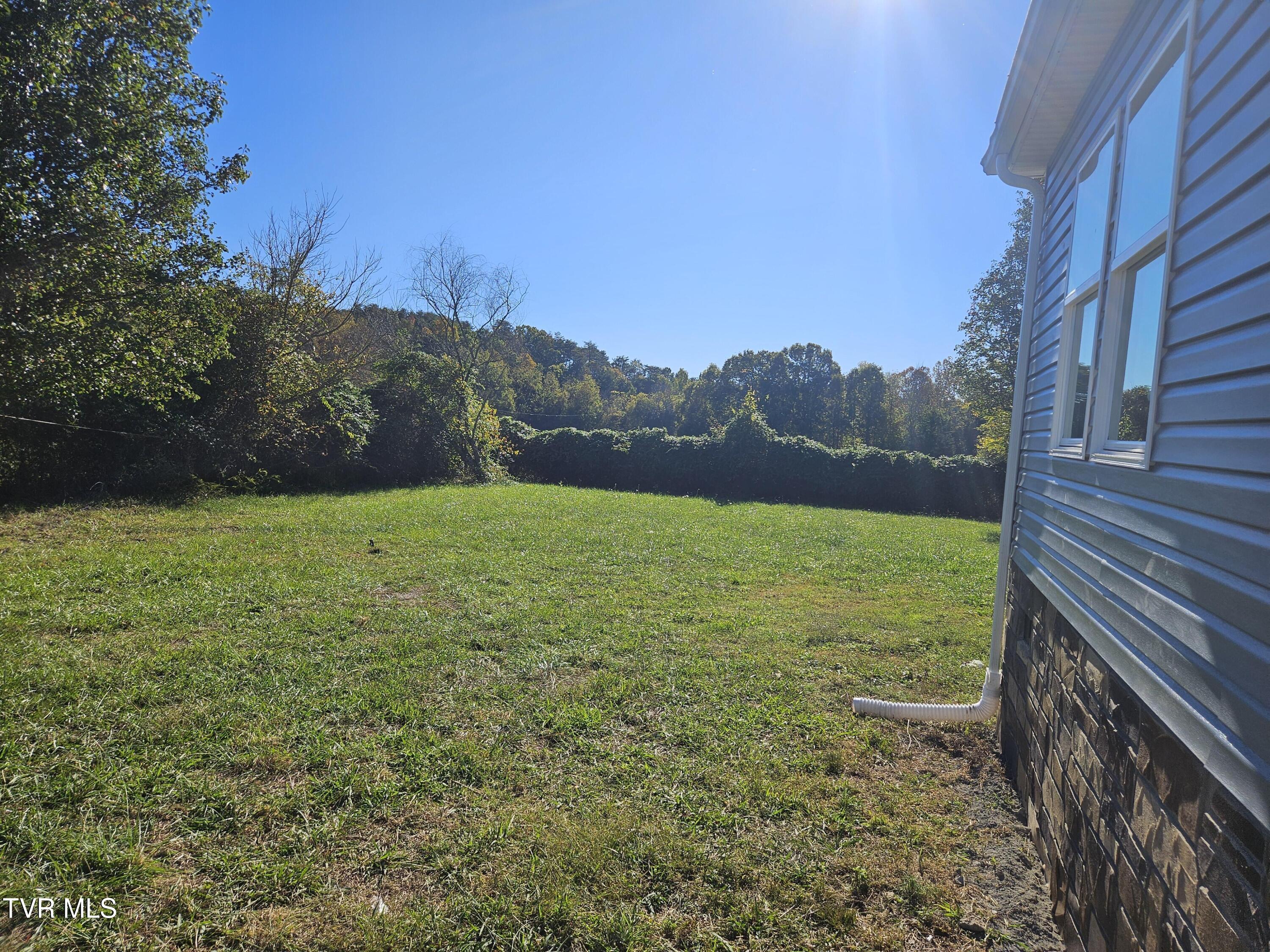 160 Kate Riley Lane, Mohawk, TN 37810 — photo 3