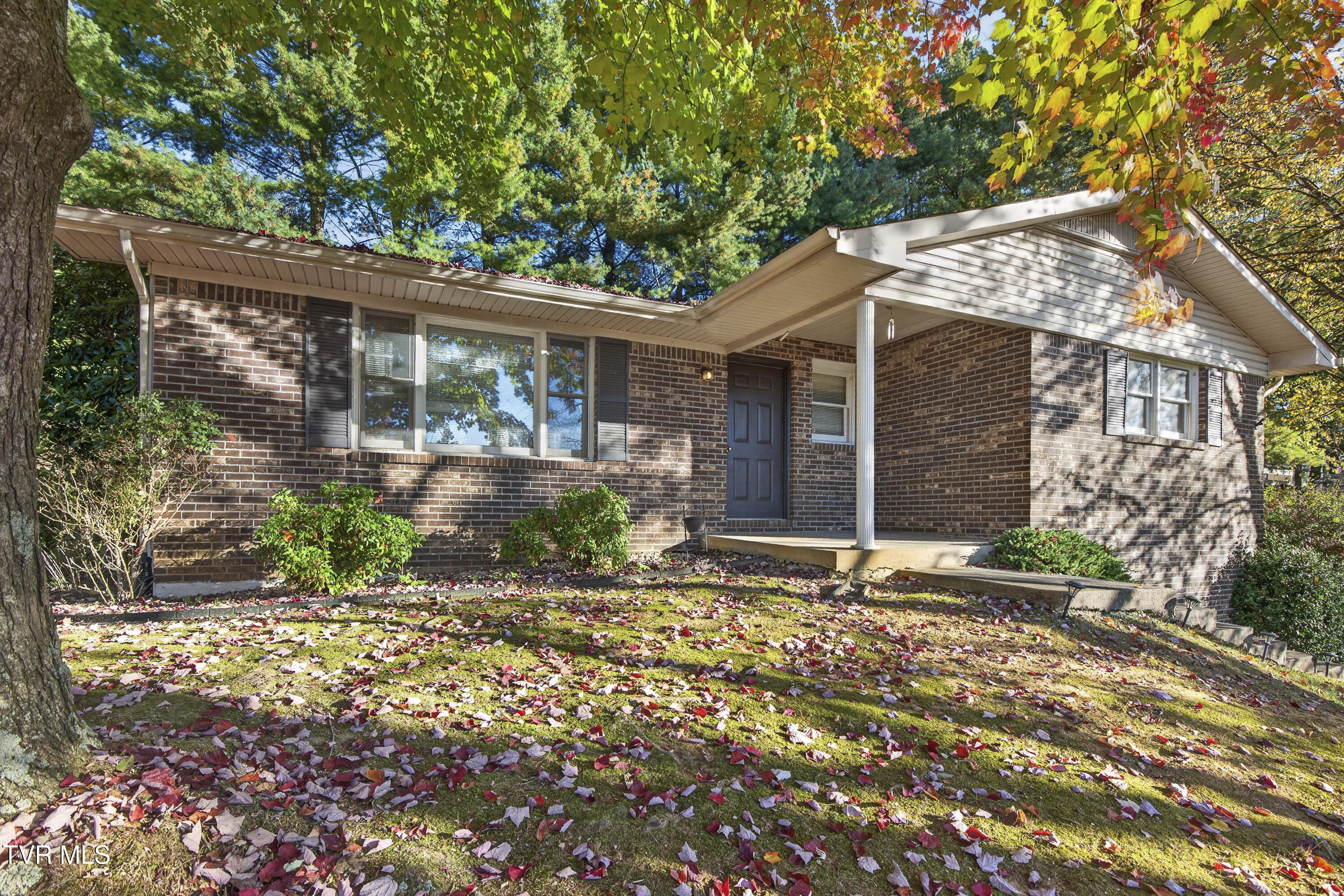 309 Timber Oak Drive — photo