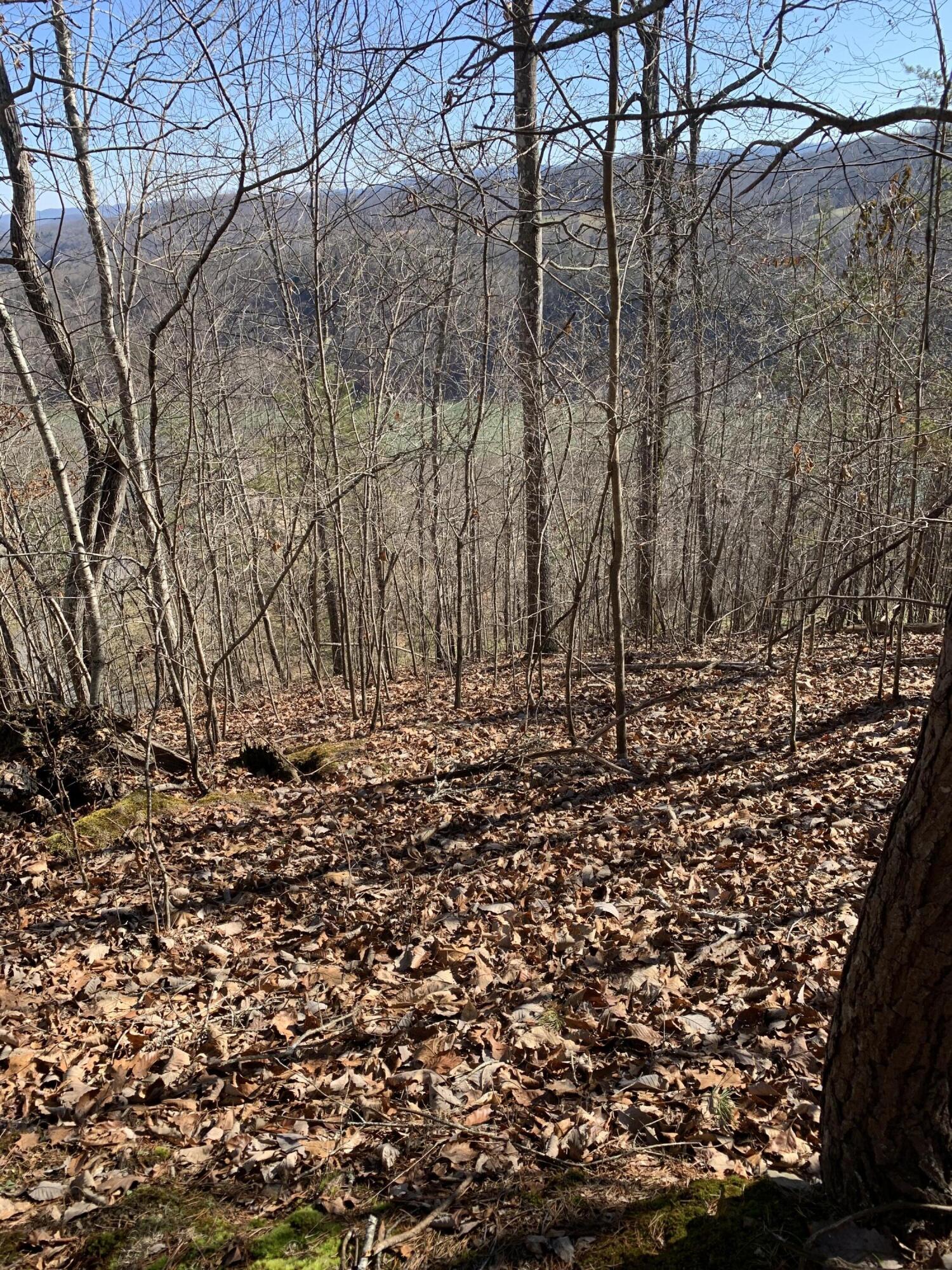 Lot 83 Ridgecrest Road, New Tazewell, TN 37825 — photo 2