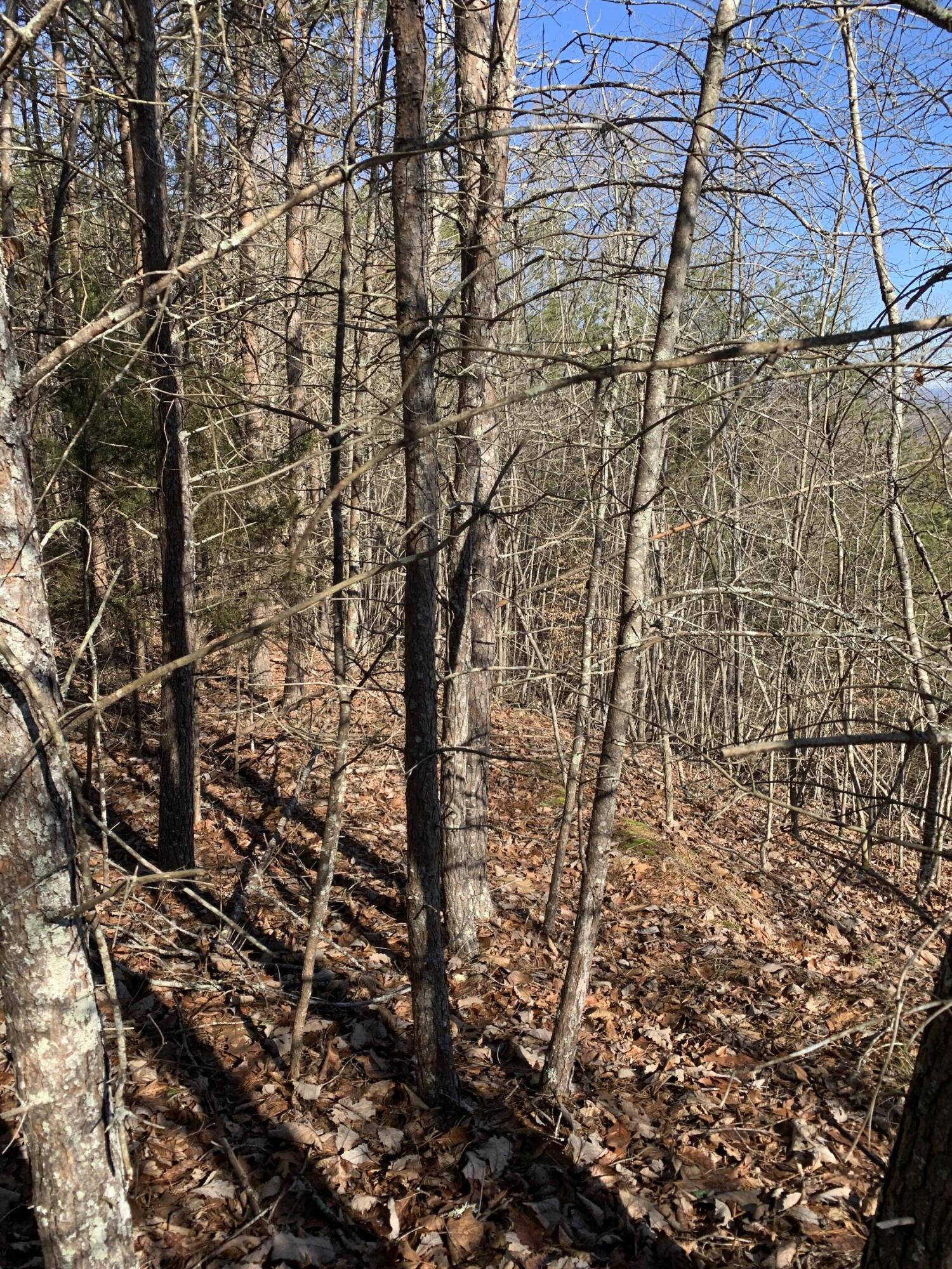 Lot 83 Ridgecrest Road, New Tazewell, TN 37825 — photo 3