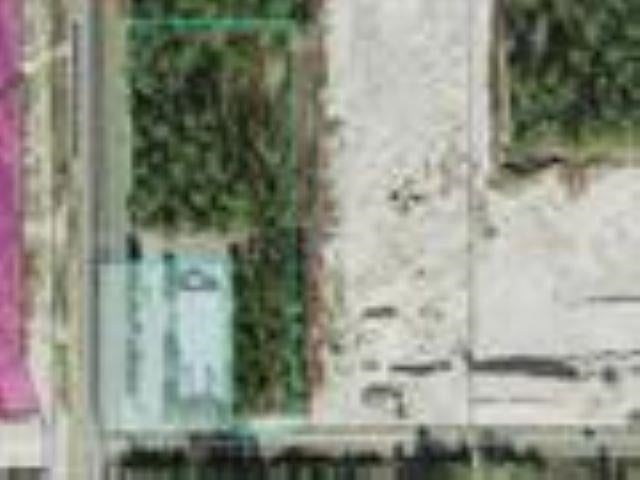 Crawfordville Highway — photo