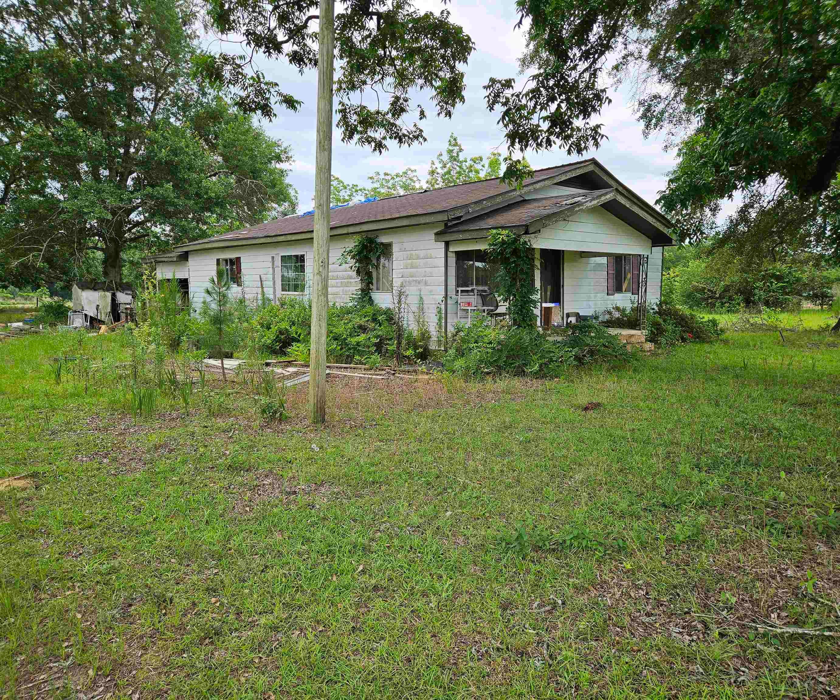 496 R L Sears Rd RD, Other Georgia GA 31771 — photo 2