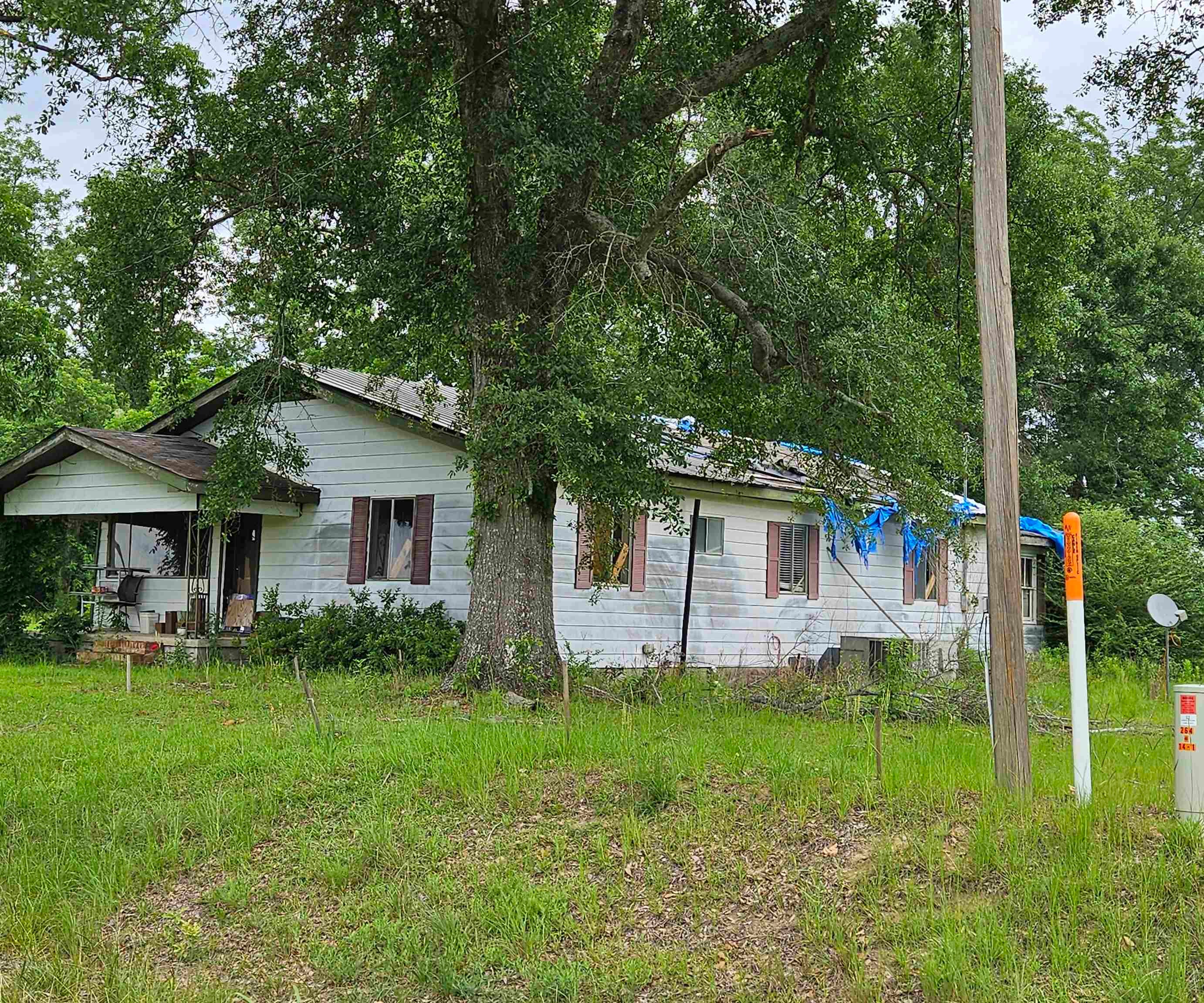 496 R L Sears Rd RD, Other Georgia GA 31771 — photo 3