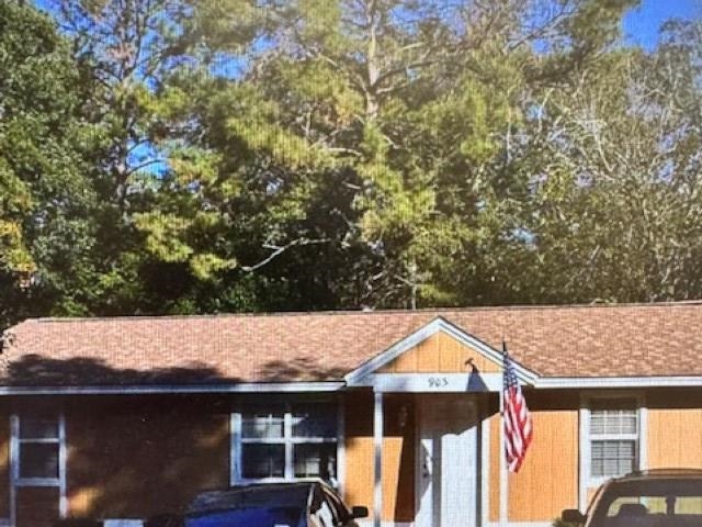 903 Bald Eagle — photo