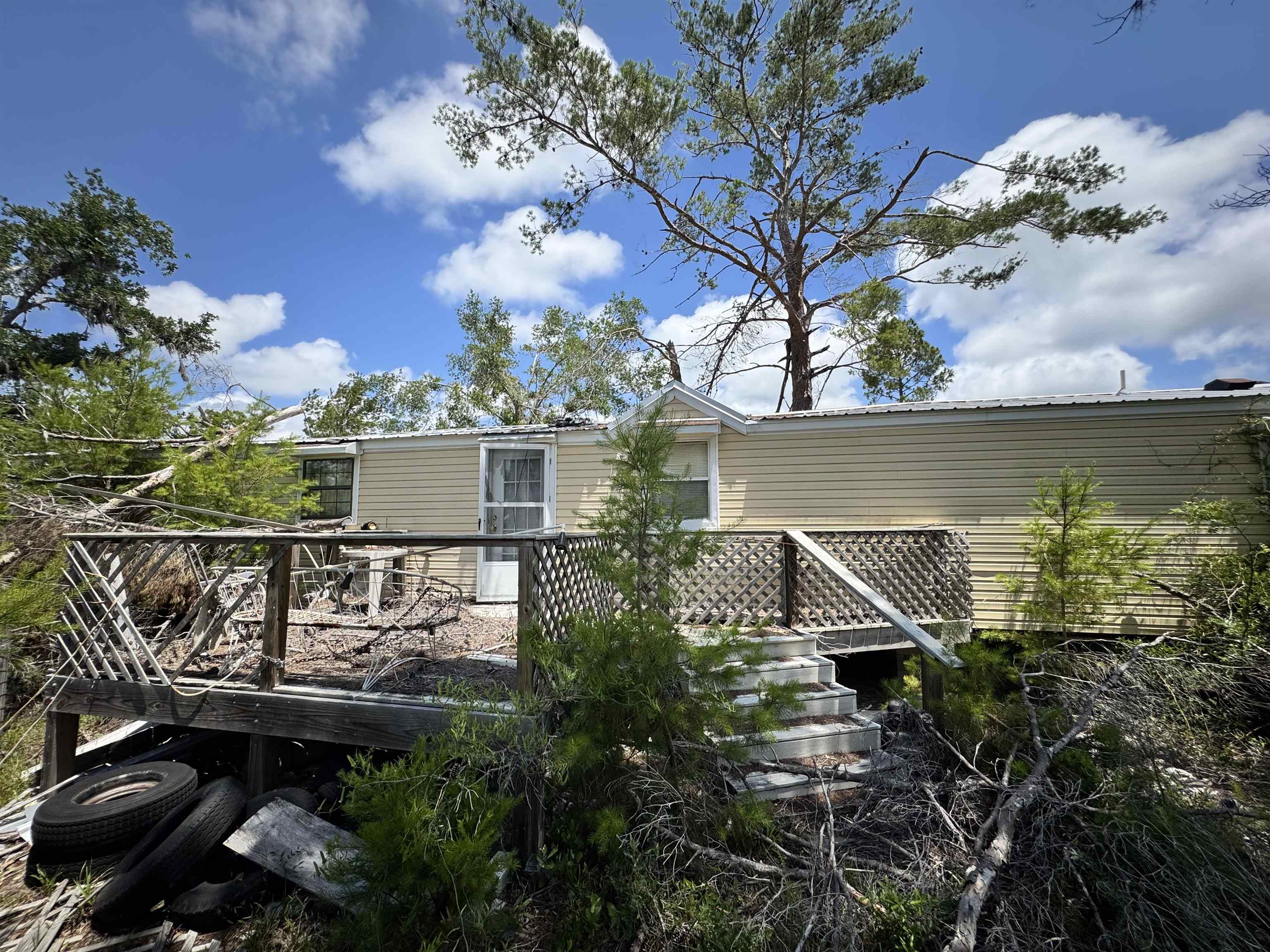 15551 Shell Drive, Keaton Beach, FL 32348 — photo 2