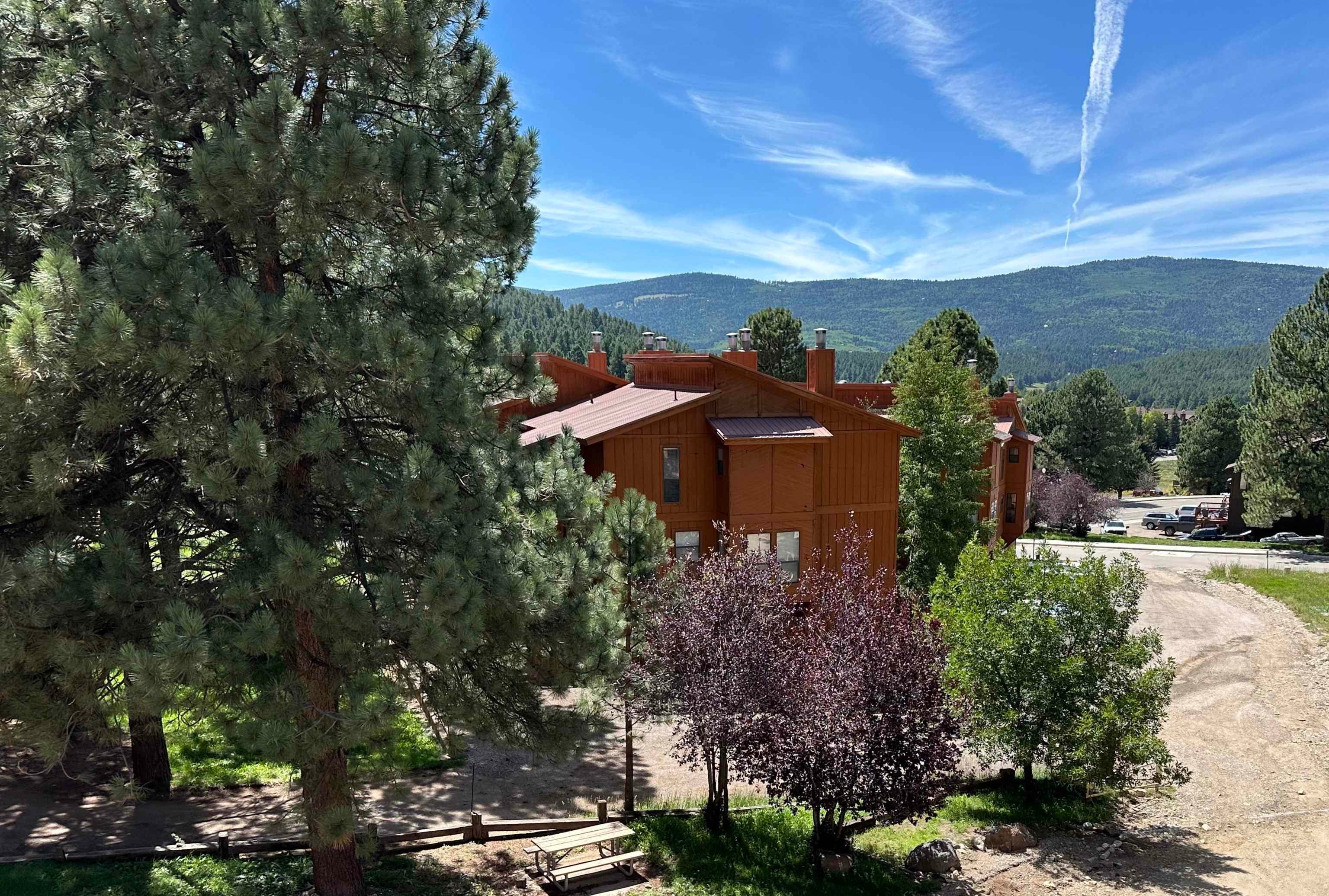 25 Jackson Hole Road 362 — photo
