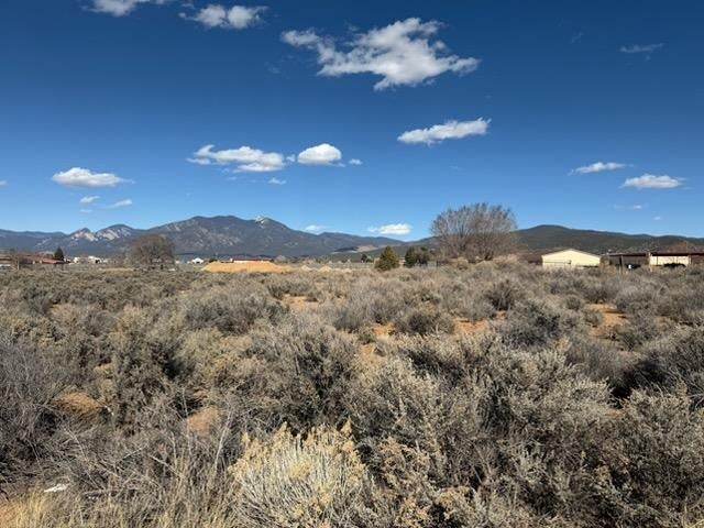 Tbd Roy Road — photo