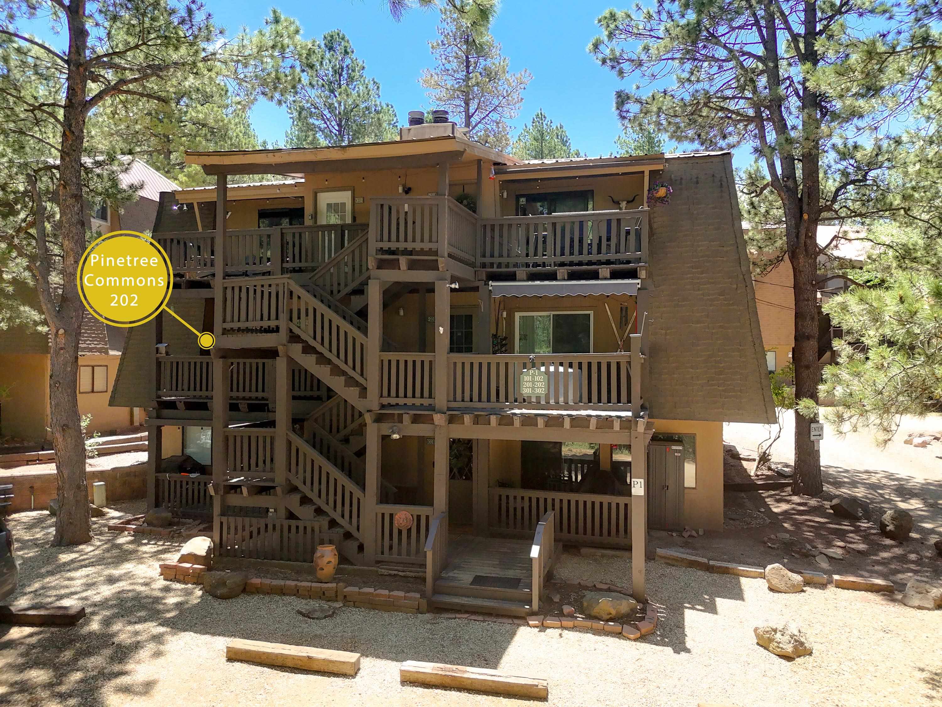 64 Mammoth 202 — photo