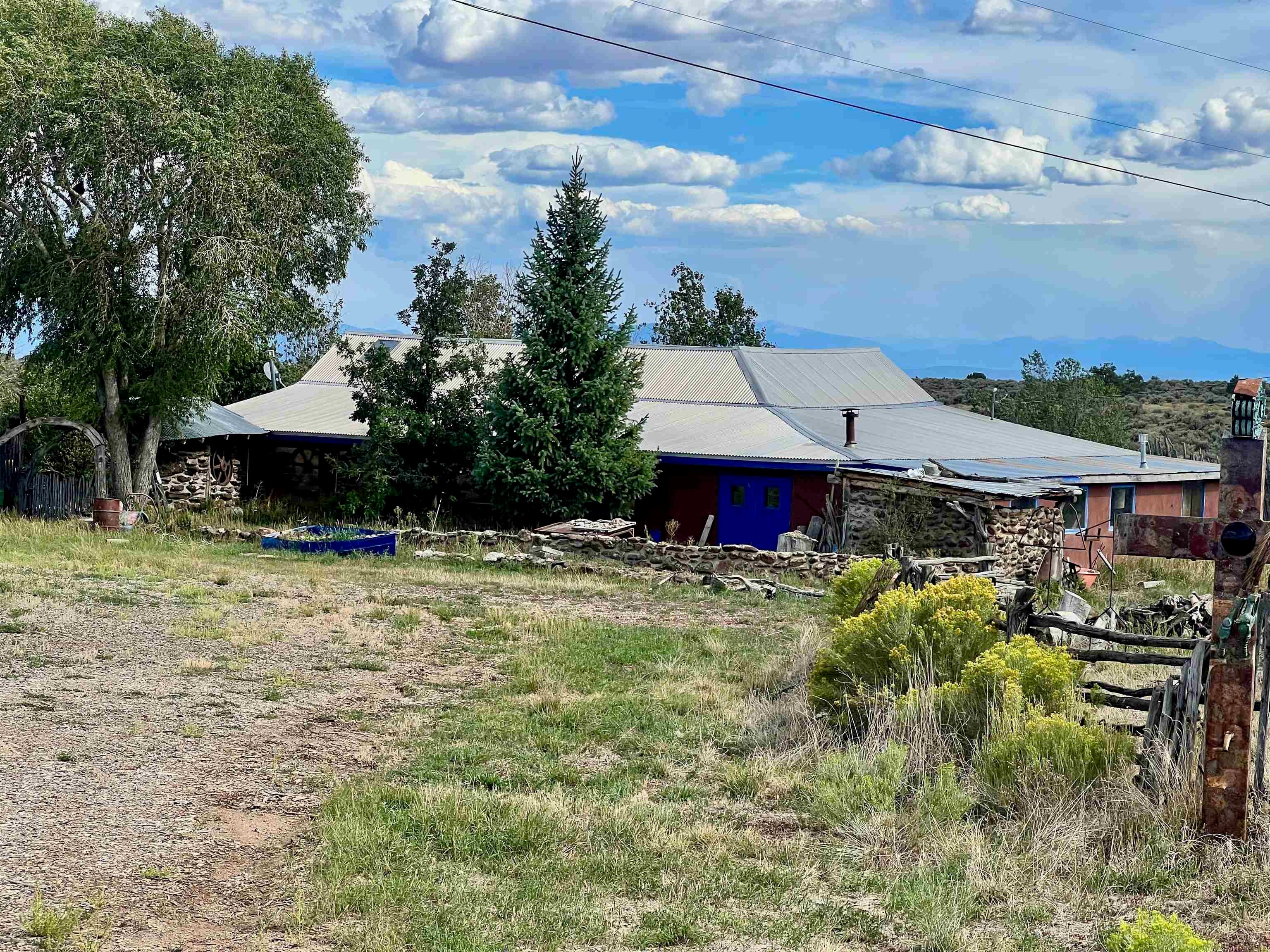 14 Sagebrush — photo