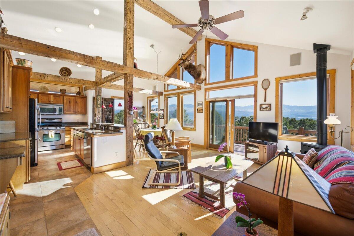 75 Pinnacle Drive, Ridgway, CO 81432