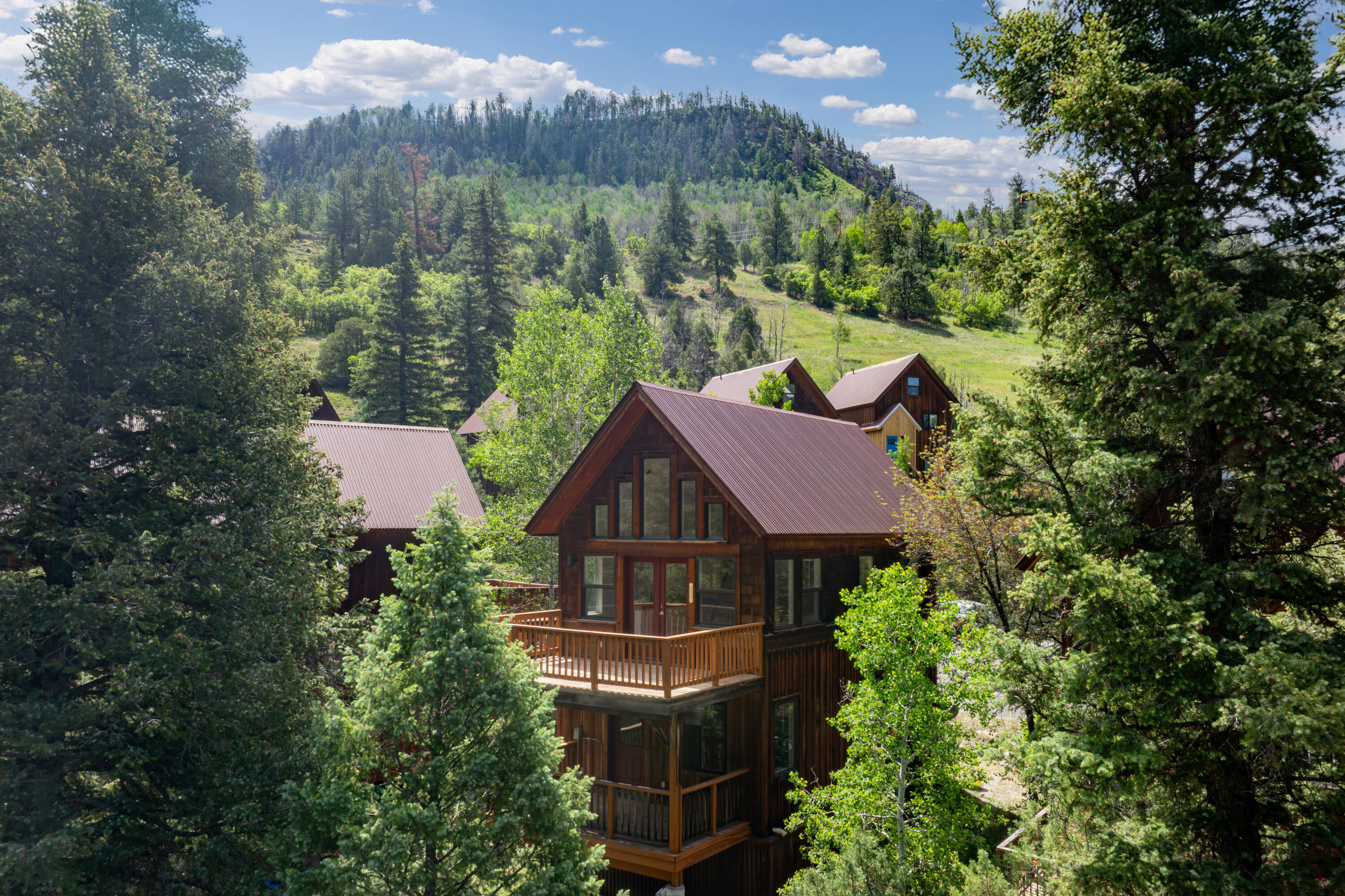 916 Two Rivers Drive, Telluride, CO 81435