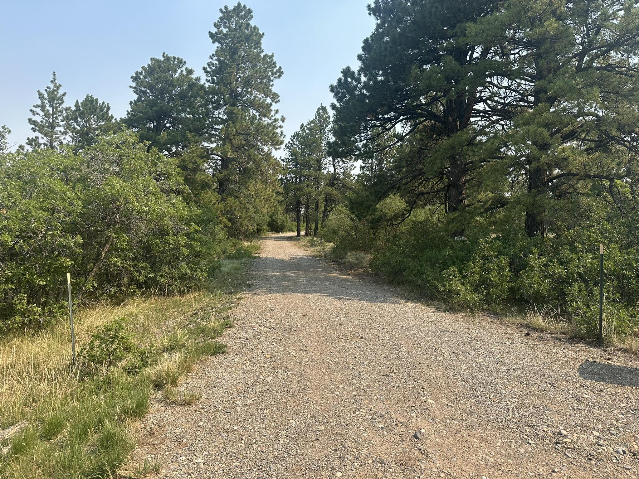 135 Canyon Rim Loop — photo