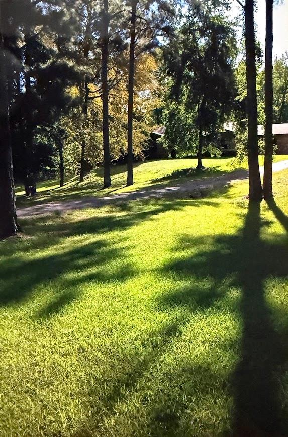 217 Southlake Rd. — photo