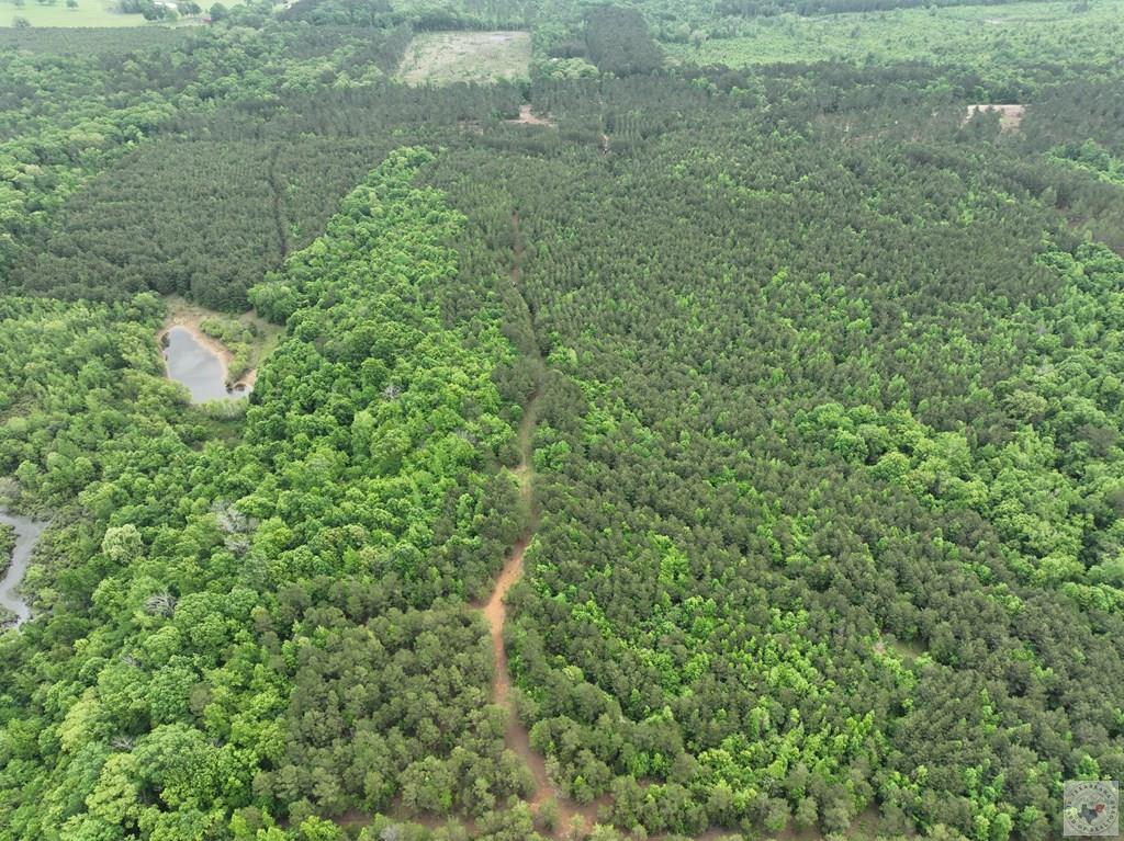Home in Douglassville, TX 75560 — photo 3