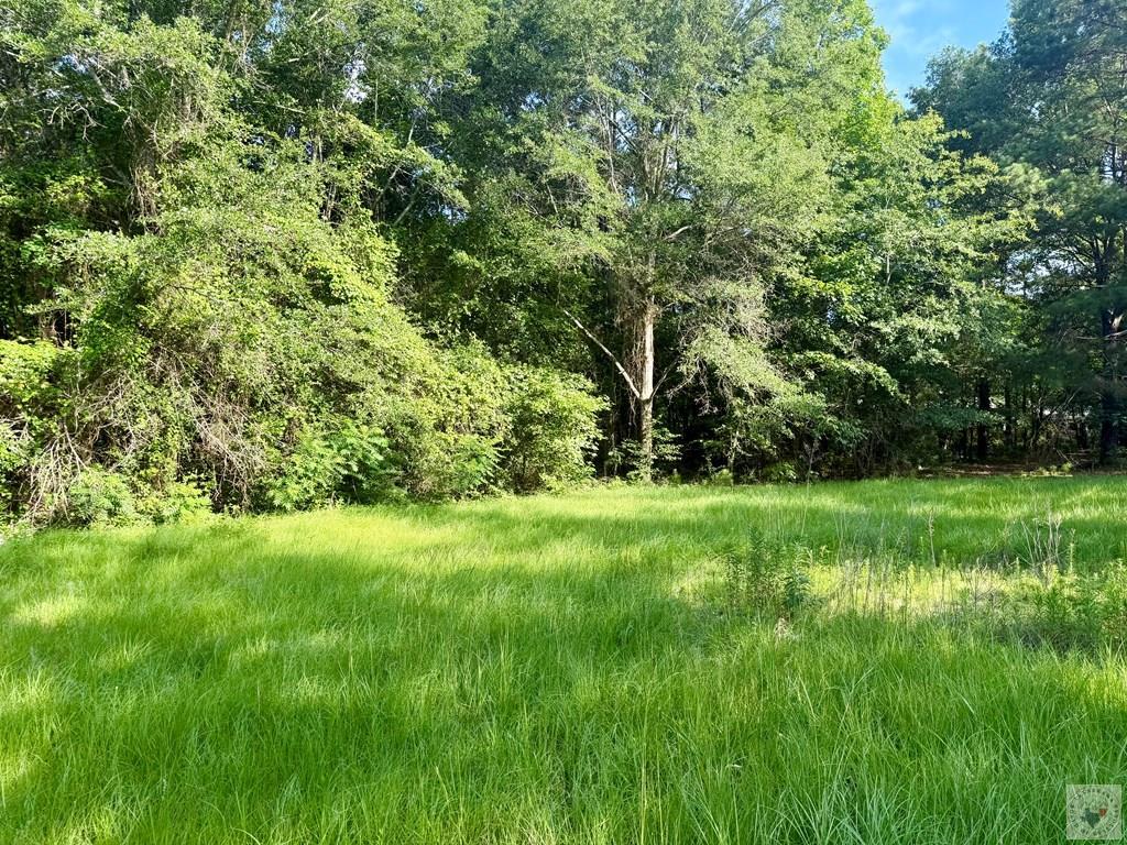 349 CR 1109 — photo