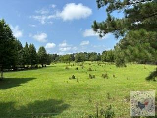 9131 Hwy 67 — photo