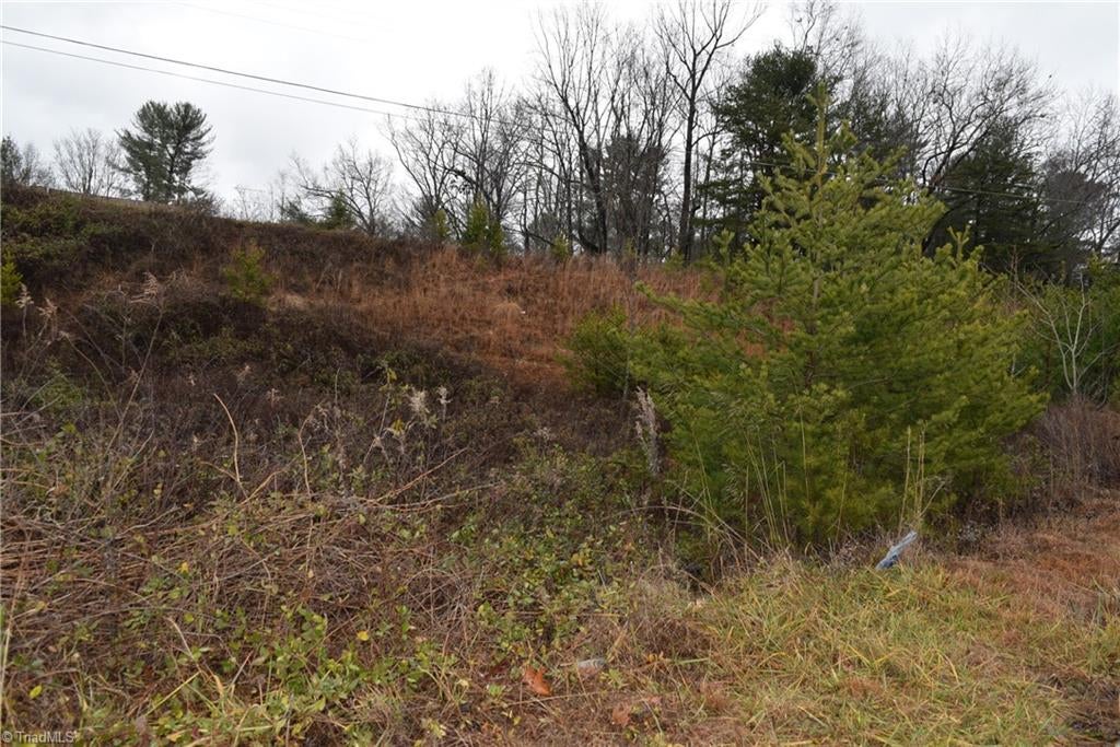 0 Andy Griffith Parkway — photo