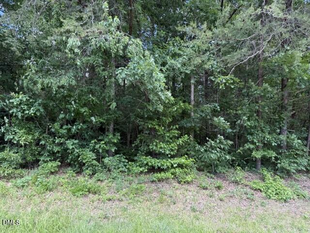 3415 Mt Willing Road — photo