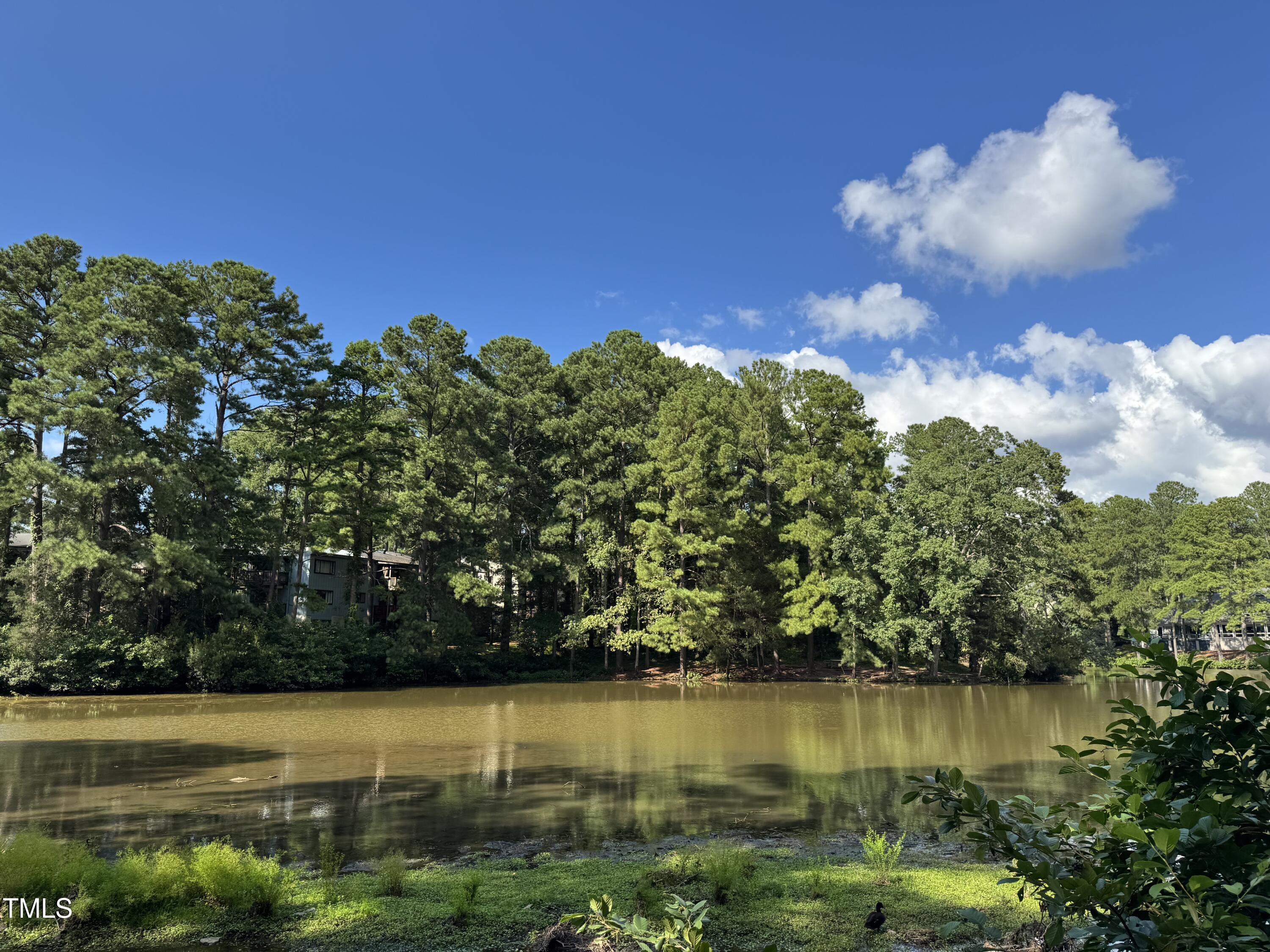 5112 Flint Ridge Place, Raleigh, NC 27609