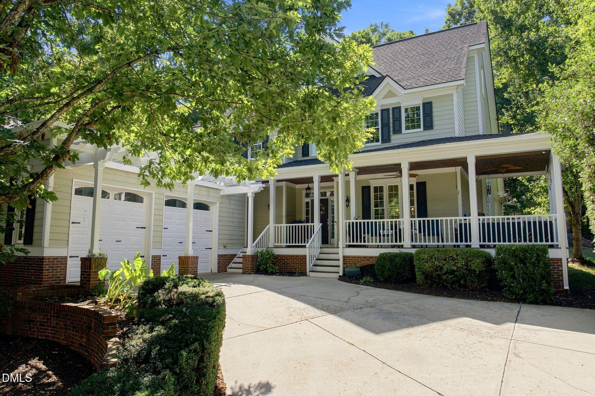 35 Golden Heather — photo