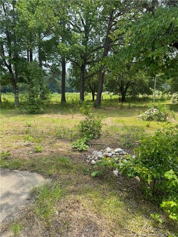 1730 Easterling Drive, Spring Lake, NC 28390 — photo 2