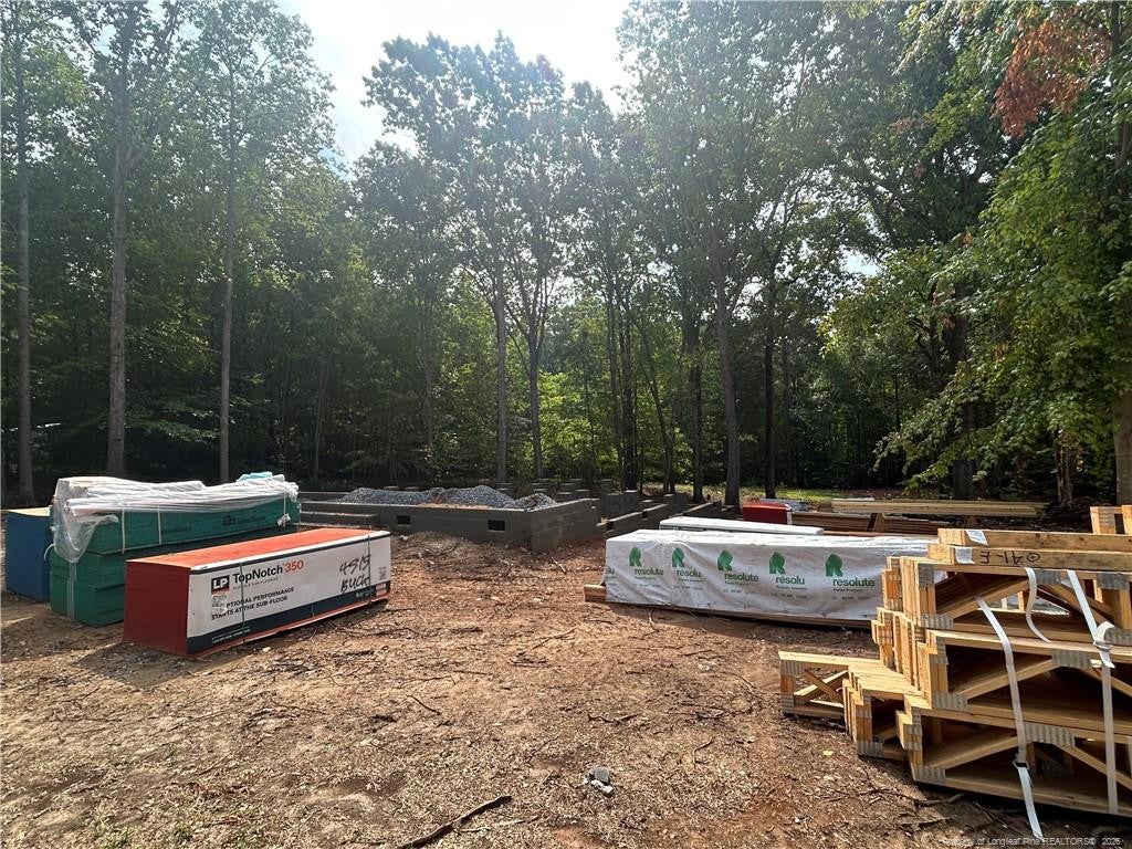 Lot 2 Buckhorn Road — photo
