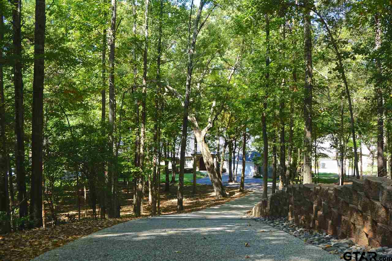 14296 E Ridge Road, Arp, TX 75750 — photo 3