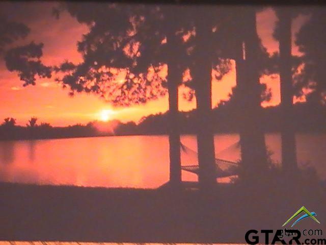 131 Raton Pass, Holly Lake Ranch, TX 75765 — photo 3