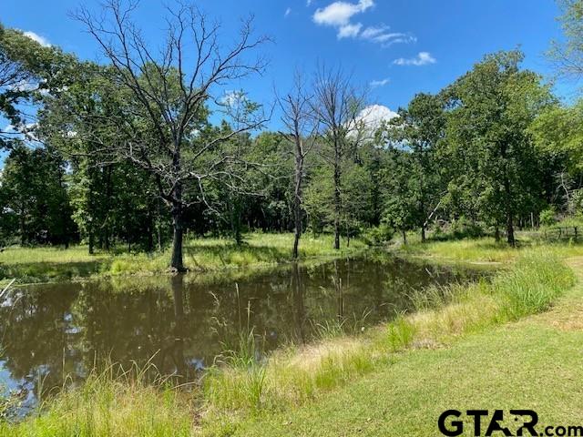 610 Old Tyler Hwy — photo