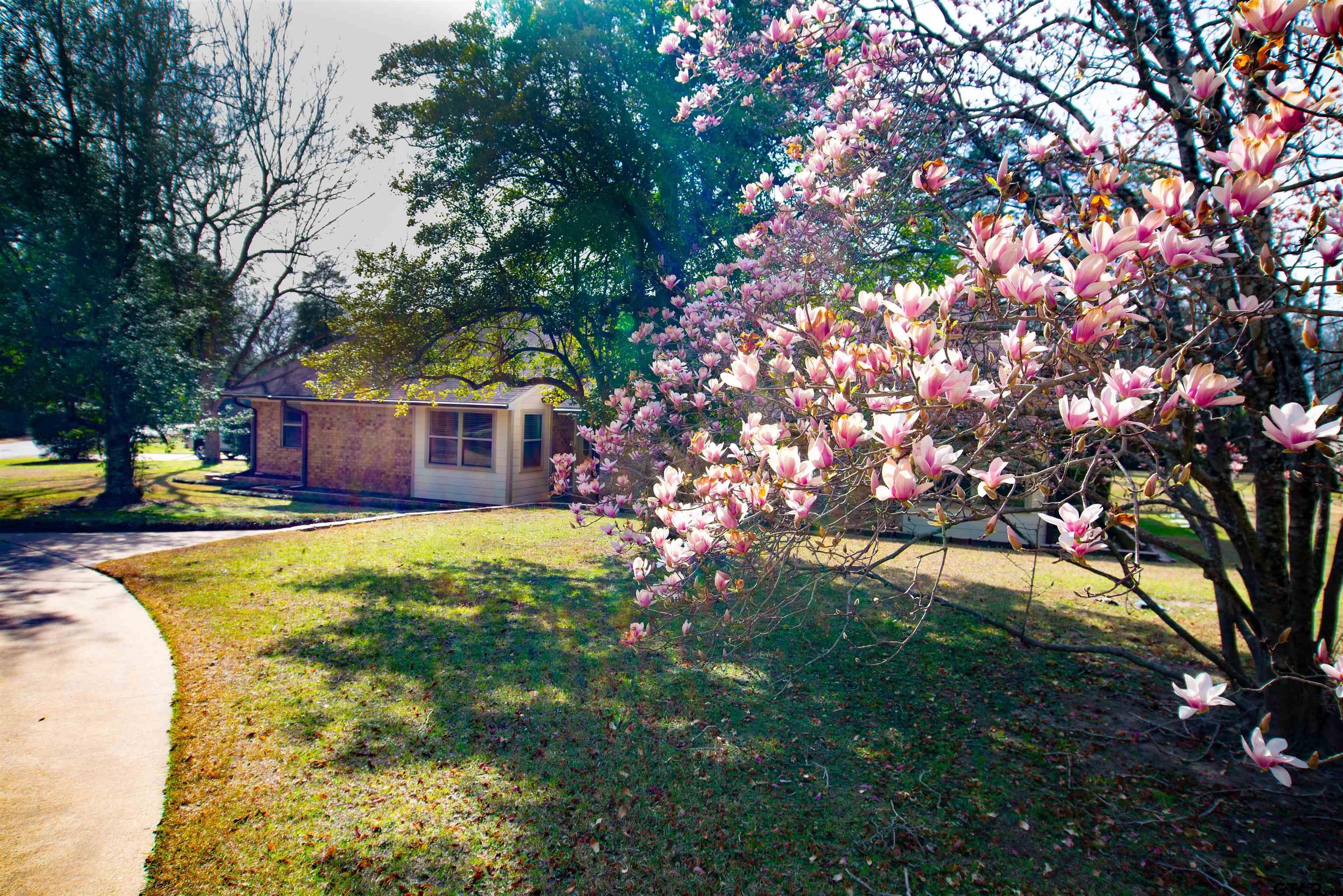115 Raton Pass, Holly Lake Ranch, TX 75765 — photo 2