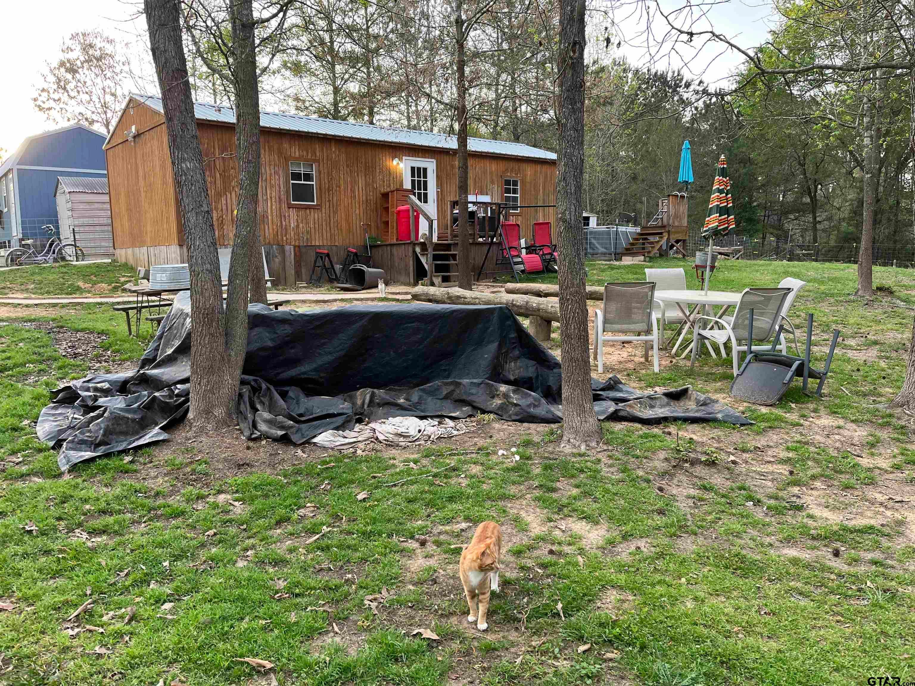 252 FM 921 — photo