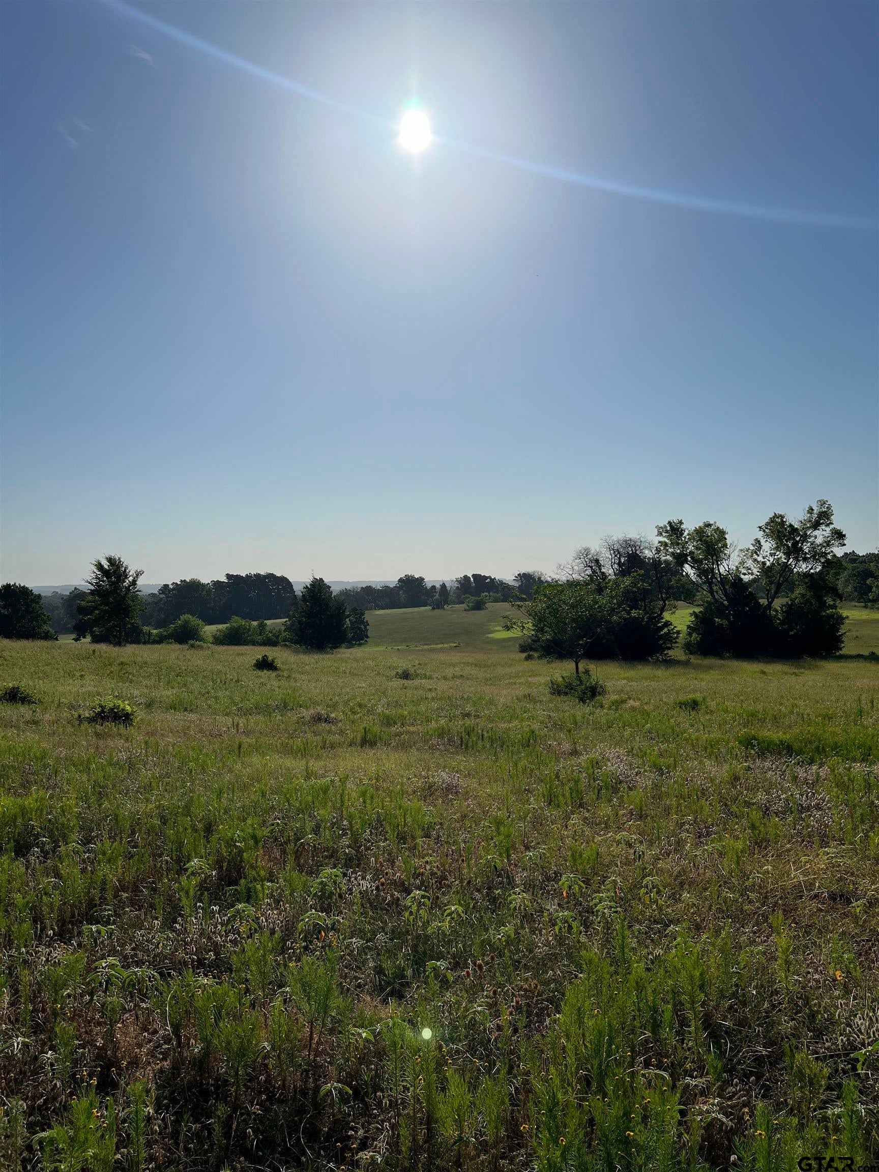 Tbd E Centennial — photo