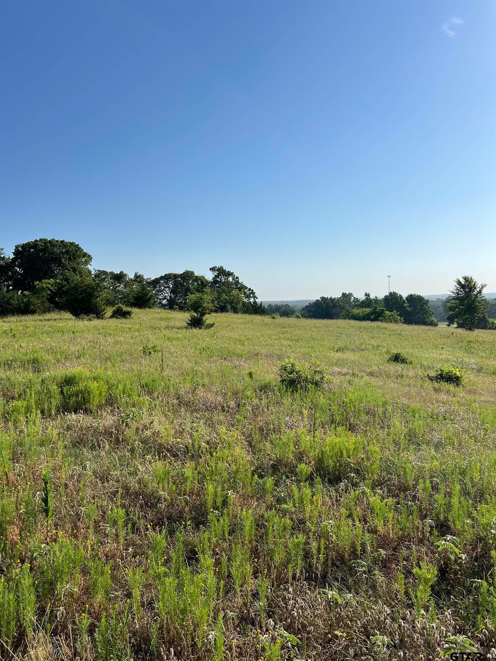 TBD E Centennial, Lindale, TX 75706 — photo 2